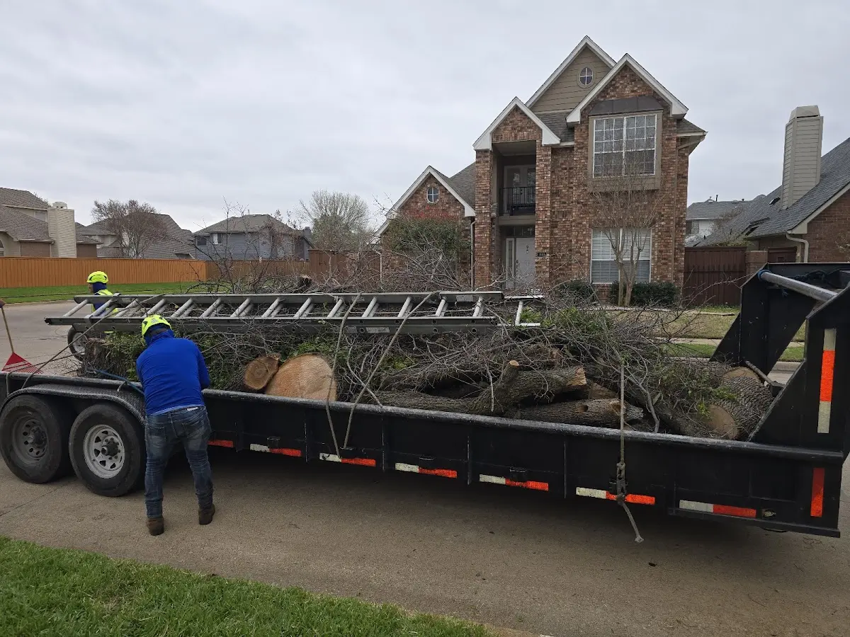 Expert Tree Pest Control with proper safety equipment in Lakemore
